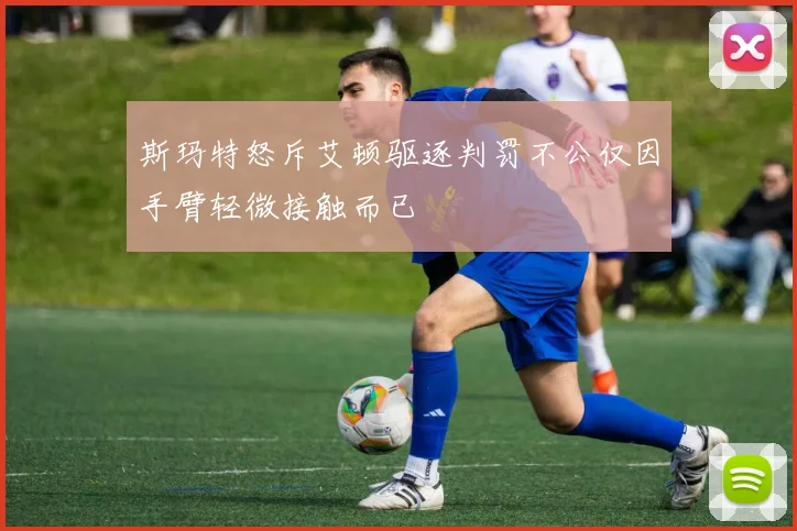 斯玛特怒斥艾顿驱逐判罚不公仅因手臂轻微接触而已